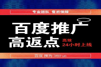SEM托管服务案例：优化策略与效果展示